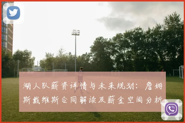 湖人队薪资详情与未来规划：詹姆斯戴维斯合同解读及薪金空间分析